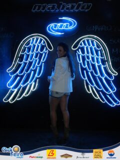 Festa do Boi Malandro